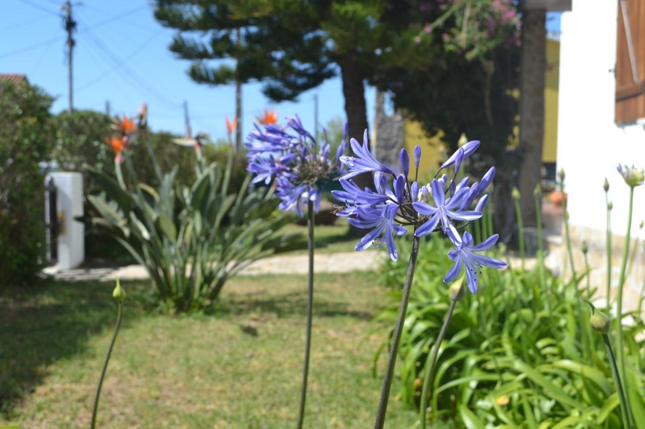 Meraki Guesthouse Ericeira Ngoại thất bức ảnh